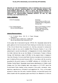 Minutes of the Environmental Public Hearing Held On