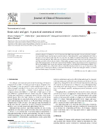 Brain Sulci and Gyri: a Practical Anatomical Review