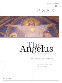 The True Notion of Mercy