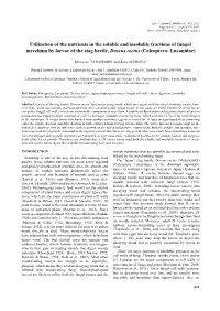 Utilization of the Nutrients in the Soluble and Insoluble Fractions of Fungal Mycelium by Larvae of the Stag Beetle, Dorcus Rectus (Coleoptera: Lucanidae)