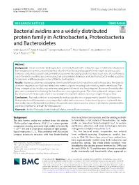 Bacterial Avidins Are a Widely Distributed Protein Family in Actinobacteria, Proteobacteria and Bacteroidetes Olli H