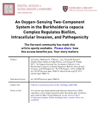 An Oxygen-Sensing Two-Component System in the Burkholderia Cepacia Complex Regulates Biofilm, Intracellular Invasion, and Pathogenicity