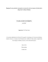 Mapping Prosopis Glandulosa (Mesquite) Invasion in the Arid Environment of South Africa Using Remote Sensing Techniques