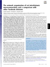 The Network Organization of Rat Intrathalamic Macroconnections and a Comparison with Other Forebrain Divisions