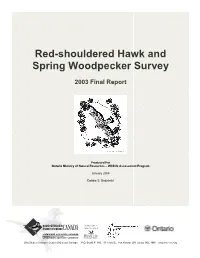 Red-Shouldered Hawk and Spring Woodpecker Survey
