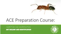 ACE Preparation Course