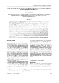 Morphological Diversity of Argan (Arganza Spznosa (L.) Skeels) Populations in Morocco '
