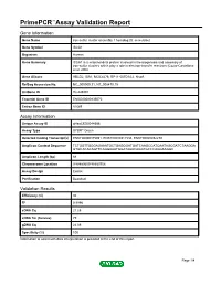 Primepcr™Assay Validation Report