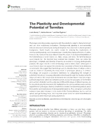 The Plasticity and Developmental Potential of Termites