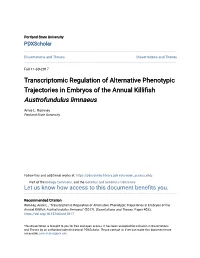 Transcriptomic Regulation of Alternative Phenotypic Trajectories in Embryos of the Annual Killifish Austrofundulus Limnaeus