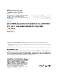 Biochemical Characterization of Binding Partners of Two Hsp70 Co-Chaperones in Saccharomyces Cerevisiae