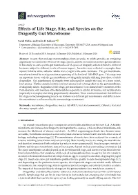 Effects of Life Stage, Site, and Species on the Dragonfly Gut Microbiome