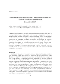Evolutionary Leverage of Dissilient Genera of Pleuroweisieae (Pottiaceae) Evaluated with Shannon-Turing Analysis