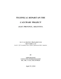 Technical Report on the Cauchari Project