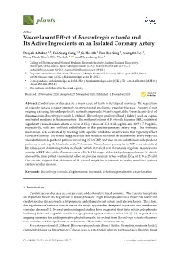 Vasorelaxant Effect of Boesenbergia Rotunda and Its Active Ingredients