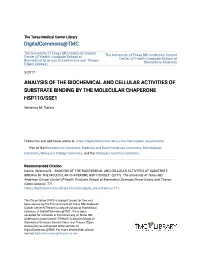 Analysis of the Biochemical and Cellular Activities of Substrate Binding by the Molecular Chaperone Hsp110/Sse1
