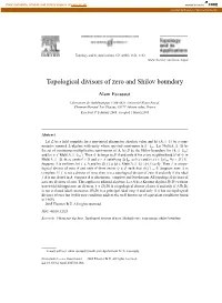 Topological Divisors of Zero and Shilov Boundary