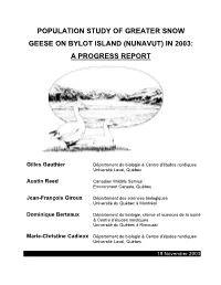 Population Study of Greater Snow Geese on Bylot Island (Nunavut) in 2003: a Progress Report