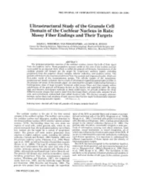 Ultrastructural Study of the Granule Cell Domain of the Cochlear Nucleus in Rats: Mossy Fiber Endings and Their Targets