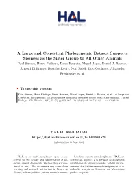A Large and Consistent Phylogenomic Dataset Supports Sponges As The