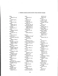 I. Terms Associated with the Divine Name