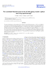 The Candidate Filament Close to the 3C 295 Galaxy Cluster