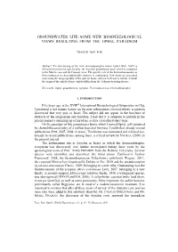Groundwater Life: Some New Biospeleological Views Resulting from the Ophel Paradigm