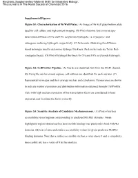 Table of Content
