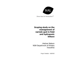 Scoping Study on the Management of Varnish Spot in Field and Hydroponic Lettuce