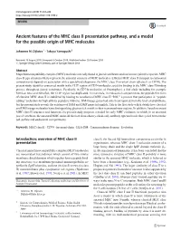 Ancient Features of the MHC Class II Presentation Pathway, and a Model for the Possible Origin of MHC Molecules
