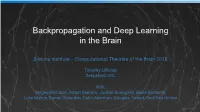 Backpropagation and Deep Learning in the Brain