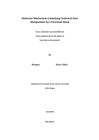 Molecular Mechanisms Underlying Cockroach Host Manipulation by a Parasitoid Wasp