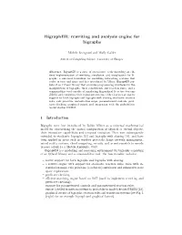 Rewriting and Analysis Engine for Bigraphs