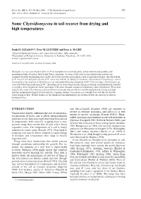 Some Chytridiomycota in Soil Recover from Drying and High Temperatures