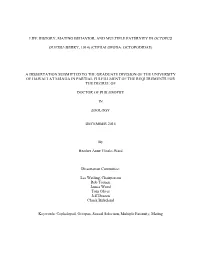 Life History, Mating Behavior, and Multiple Paternity in Octopus
