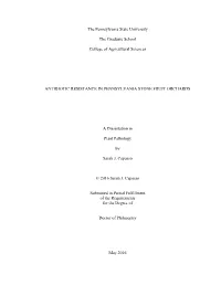 Open Capasso2016dissf.Pdf