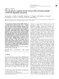 The Cell Polarity Regulator Hscrib Controls ERK Activation Through a KIM Site-Dependent Interaction
