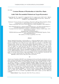 Common Diatoms of Phytobenthos in Gediz River Basin Gediz Nehir