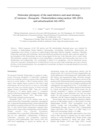 Crustacea: Decapoda: Thalassinidea) Using Nuclear 18S Rdna and Mitochondrial16s Rdna