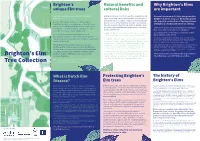 Download the Map & Guide to Brighton's Elm Tree Collection