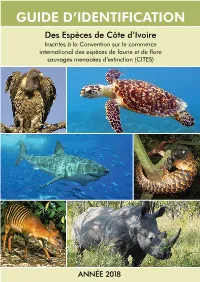 Guide D'identification