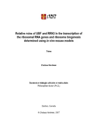 Relative Roles of UBF and RRN3 in the Transcription of the Ribosomal RNA Genes and Ribosome Biogenesis Determined Using in Vivo Mouse Models