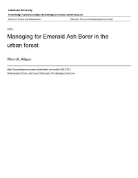 Managing for Emerald Ash Borer in the Urban Forest
