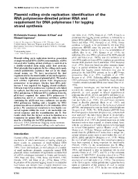 Plasmid Rolling Circle Replication: Identification of the RNA