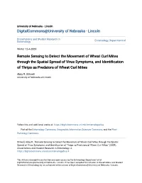 Remote Sensing to Detect the Movement of Wheat Curl Mites Through the Spatial Spread of Virus Symptoms, and Identification of Thrips As Predators of Wheat Curl Mites