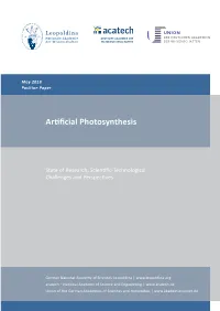 Artificial Photosynthesis