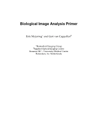 Biological Image Analysis Primer