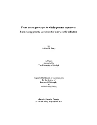 From Array Genotypes to Whole-Genome Sequences: Harnessing Genetic Variation for Dairy Cattle Selection