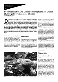 Groppe Bodensee Obersee.Pdf