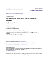 Human Metaphase Chromosome Analysis Using Image Processing
